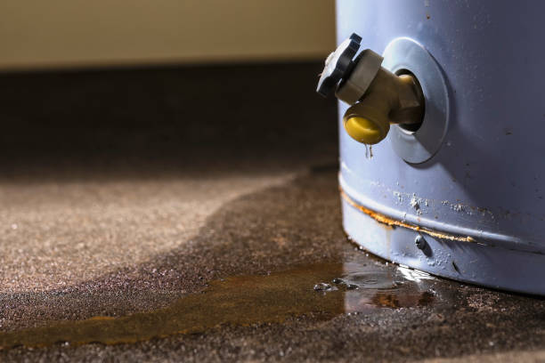 Best Ceiling water damage repair  in , NC
