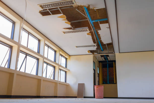 Best Ceiling water damage repair  in , NC