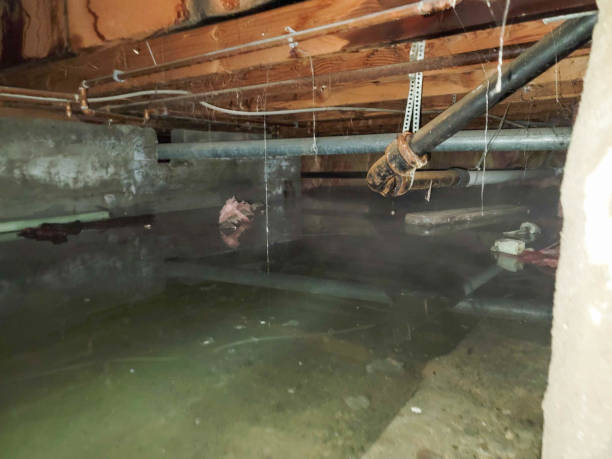 Best Commercial water damage restoration  in , NC