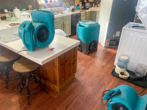 Best Mold removal after water damage  in , NC