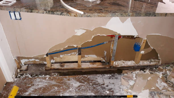 Best Basement water damage restoration  in , NC
