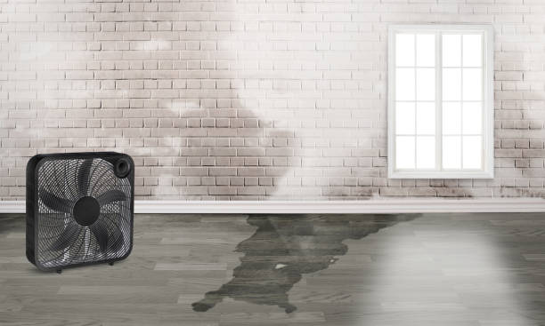 Best 24-hour water damage restoration  in , NC