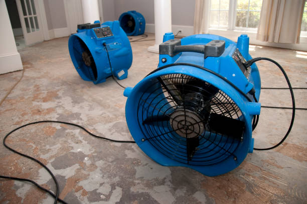 Best Professional water damage repair  in , NC