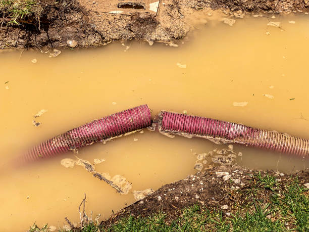 Best Emergency water extraction  in , NC