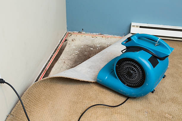 Best Water damage contractors near me  in , NC